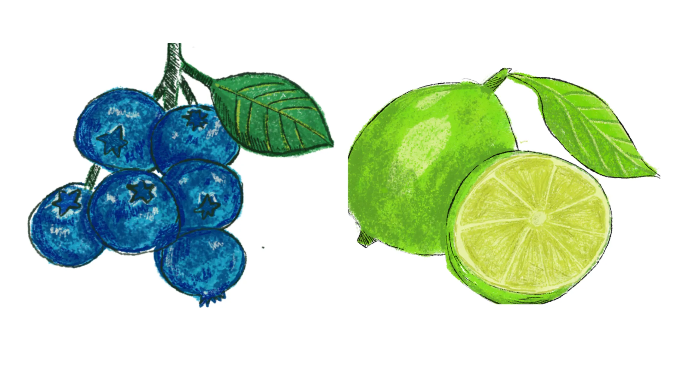 A painting of blueberries and lime