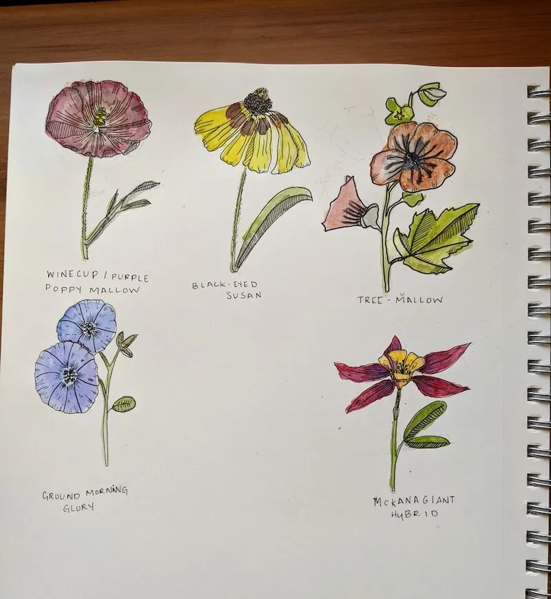 A page of 4 watercolor flowers