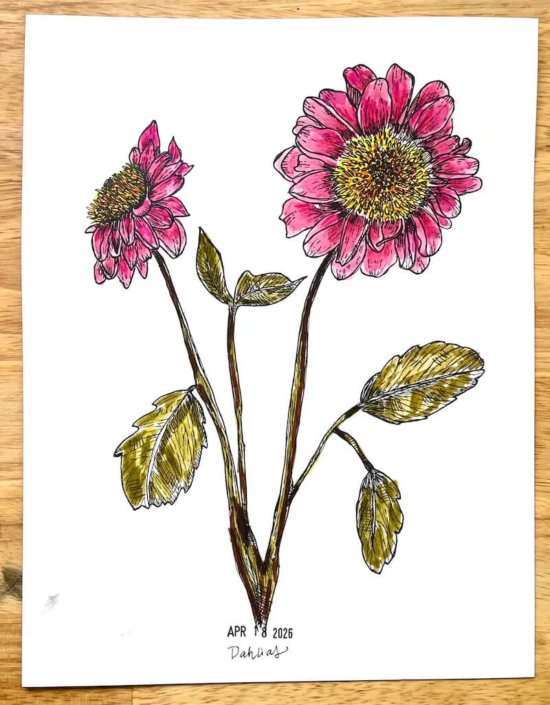 A watercolor painting of a tulip