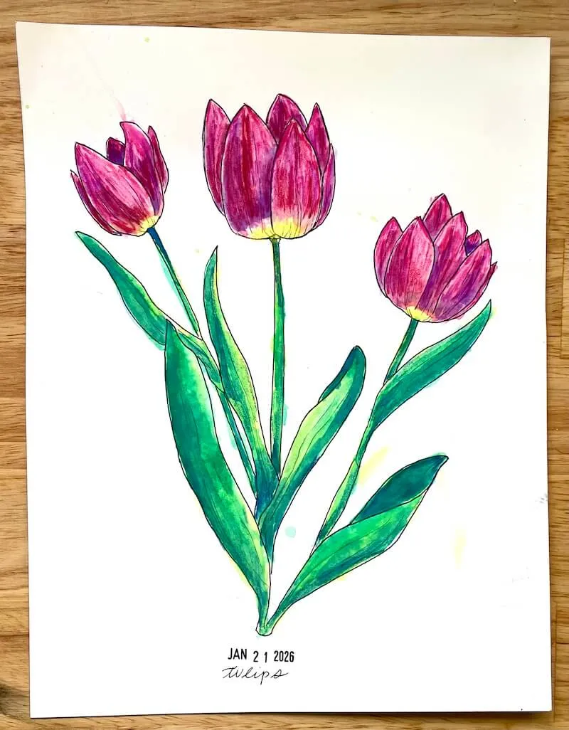 A watercolor painting of a tulip