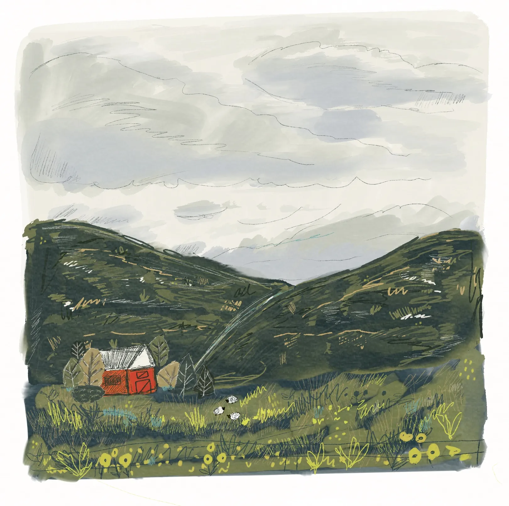 cottage, woods, sheep